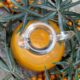Licoare minune pentru organism: De zece ori mai bogata in vitamina C decat citricele