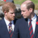 Scandalul de la Palatul Buckingham continuă: prințul Harry așteaptă scuze de la Casa Regală