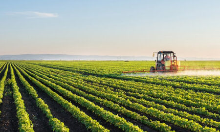 Noua politică agricolă comună. Ministrul Agriculturii a vorbit despre măsurile luate în România