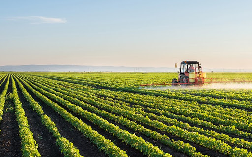 Noua politică agricolă comună. Ministrul Agriculturii a vorbit despre măsurile luate în România