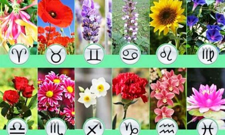 Horoscopul FLORAL. Care este planta zodiei tale?