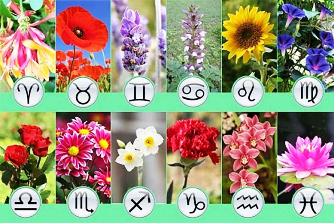 Horoscopul FLORAL. Care este planta zodiei tale?