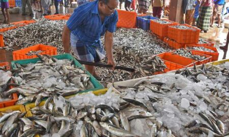 Alertă alimentară! Ce s-a descoperit în piața de pește din Beijing este alarmant