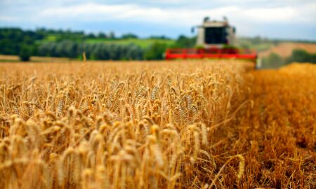 Analiza politică agricolă: Ce rol joacă UE în atenuarea schimbărilor climatice din sectorul agriculturii