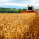 Analiza politică agricolă: Ce rol joacă UE în atenuarea schimbărilor climatice din sectorul agriculturii