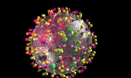 Imunitatea după infectarea cu noul coronavirus este temporara. Ce spune OMS