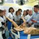 Proiect inedit: 440 de medici și moașe din România au fost trimiși la școală