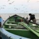 Scutirea pescarilor de la plata taxelor