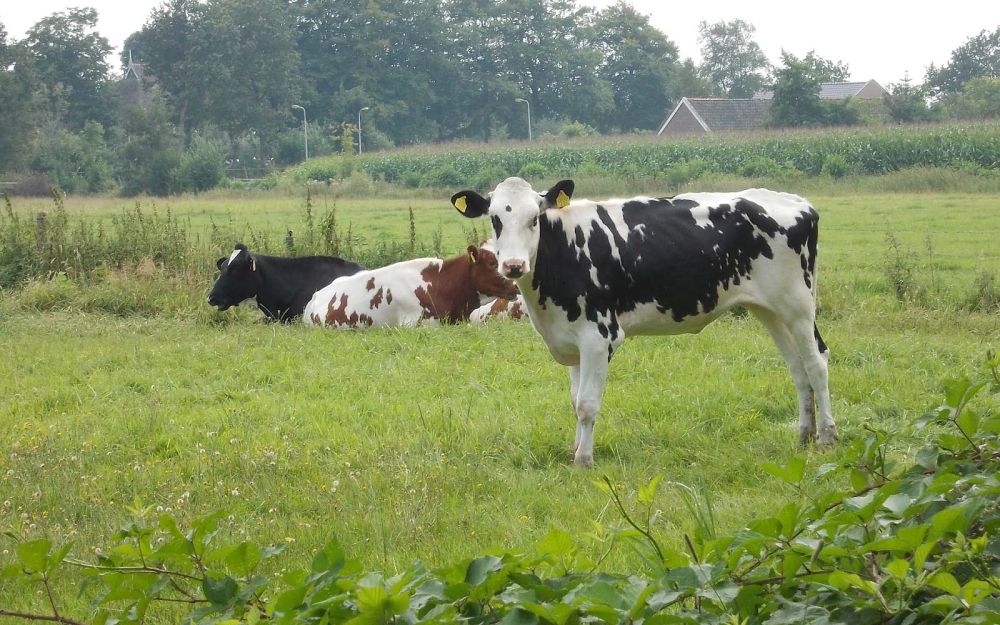 Ministerul Agriculturii, probleme după rectificarea bugetară. „Banii care se dau acum nu sunt suficienţi”