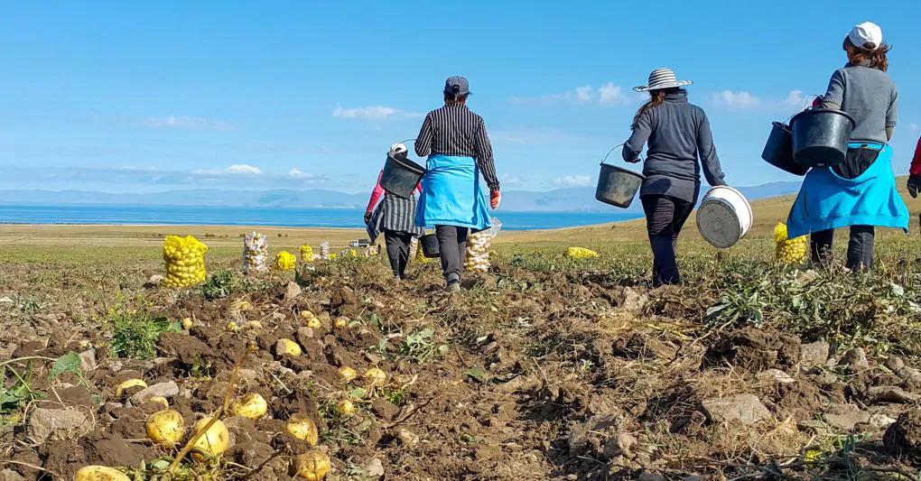 Avertismentul meteorologilor. Calendarul agricol ar trebui decalat