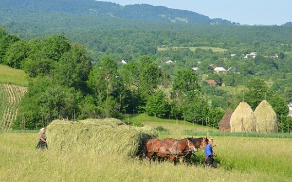 Ce înseamnă, de fapt, un stil de viață sănătos. Părintele Calistrat. „Prelungirea vieții nu o dădea mâncarea, o dădea mișcarea!”