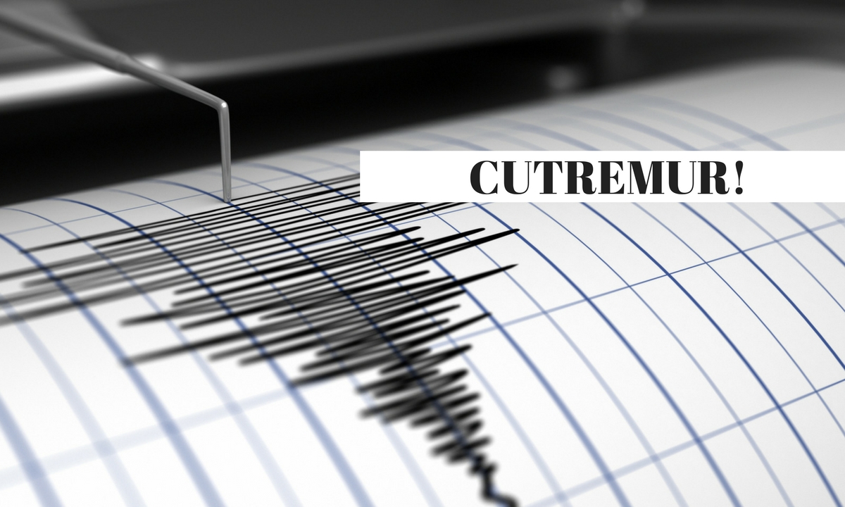 Cutremur puternic. Unde a fost resimțit seismul cu magnitudinea 5,7