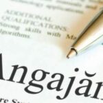 INS Locuri de munca, sursa foto anas.md ANFOM