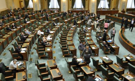 Iulia Scântei și Bogdan Licu au fost aleși la Curtea Constituțională. Cristi Danileț, puține voturi