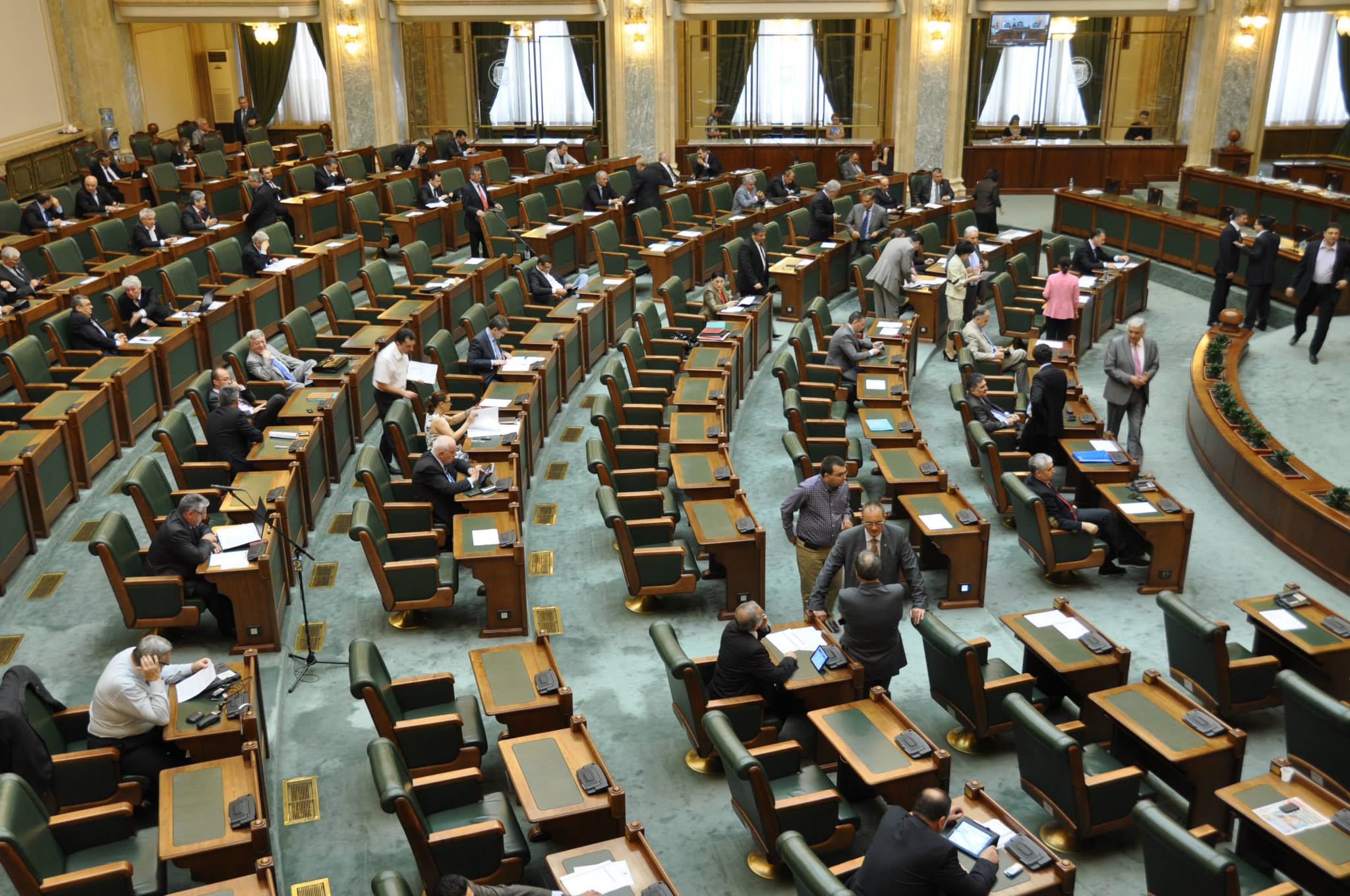 Iulia Scântei și Bogdan Licu au fost aleși la Curtea Constituțională. Cristi Danileț, puține voturi