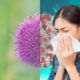 Vești grozave pentru alergicii la ambrozie! Cercetării din Timișoara au creat un vaccin împotriva alergiei la polen