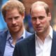 Cine este fratele Prinților William și Harry. Secretul care zguduie Casa Regală!