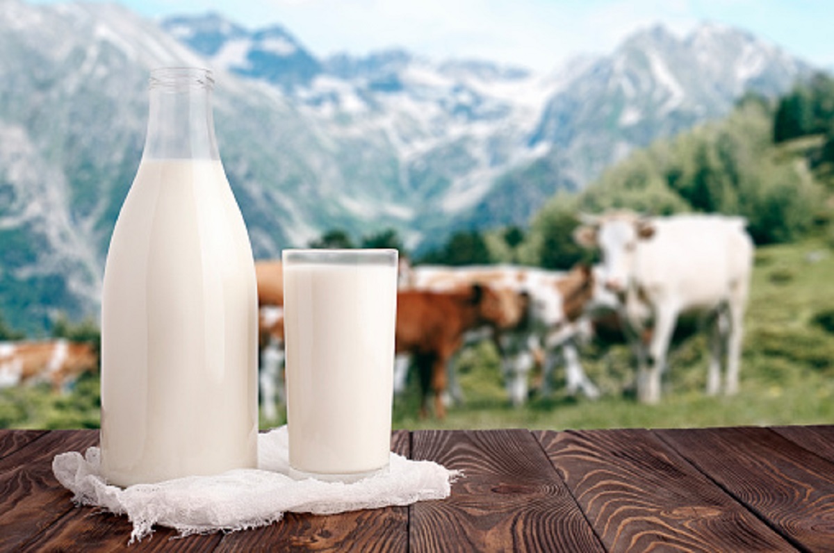 Laptele se va ieftini cu 20% de la 1 Mai! Petre Daea, despre acordul de reducere al prețului: „Lăcomia nu e bună”