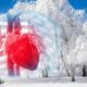 Un medic celebru, avertizează! Cum să vă puteți proteja inima în sezonul rece
