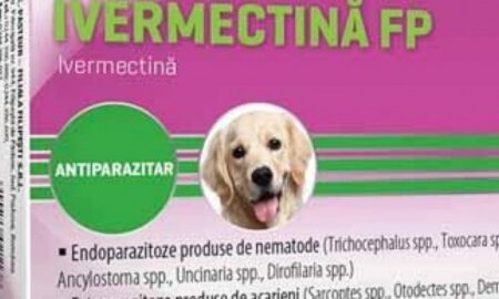 Medicii veterinari, avertizare despre medicamentele care conțin ivermectină!