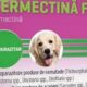 Medicii veterinari, avertizare despre medicamentele care conțin ivermectină!