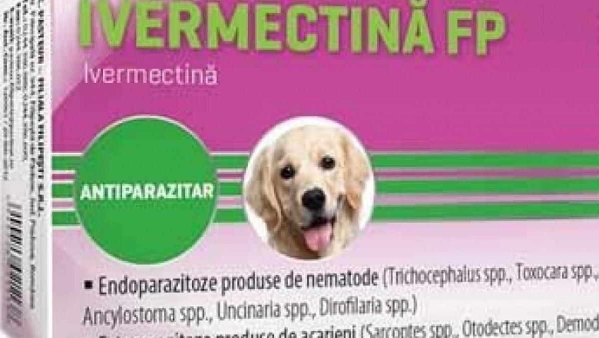 Medicii veterinari, avertizare despre medicamentele care conțin ivermectină!