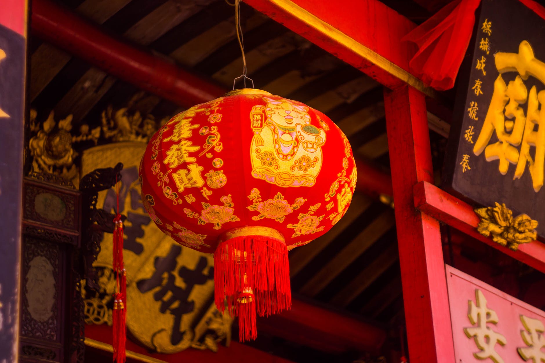 Previziuni Anul Nou Chinezesc 2021. Ce aduce Anul Bivolului de Metal Alb!