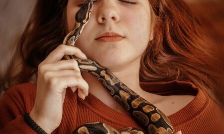 Ți s-a întâmplat vreodată să visezi șerpi? Află ce se ascunde în spatele viselor