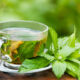 Băutorii de ceai se bucură de posibile beneficii pentru sănătate, sugerează un studiu