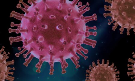 Un nou virus ar putea declanșa o nouă pandemie. Simptome asemănătoare cu cele de COVID