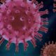 Un nou virus ar putea declanșa o nouă pandemie. Simptome asemănătoare cu cele de COVID