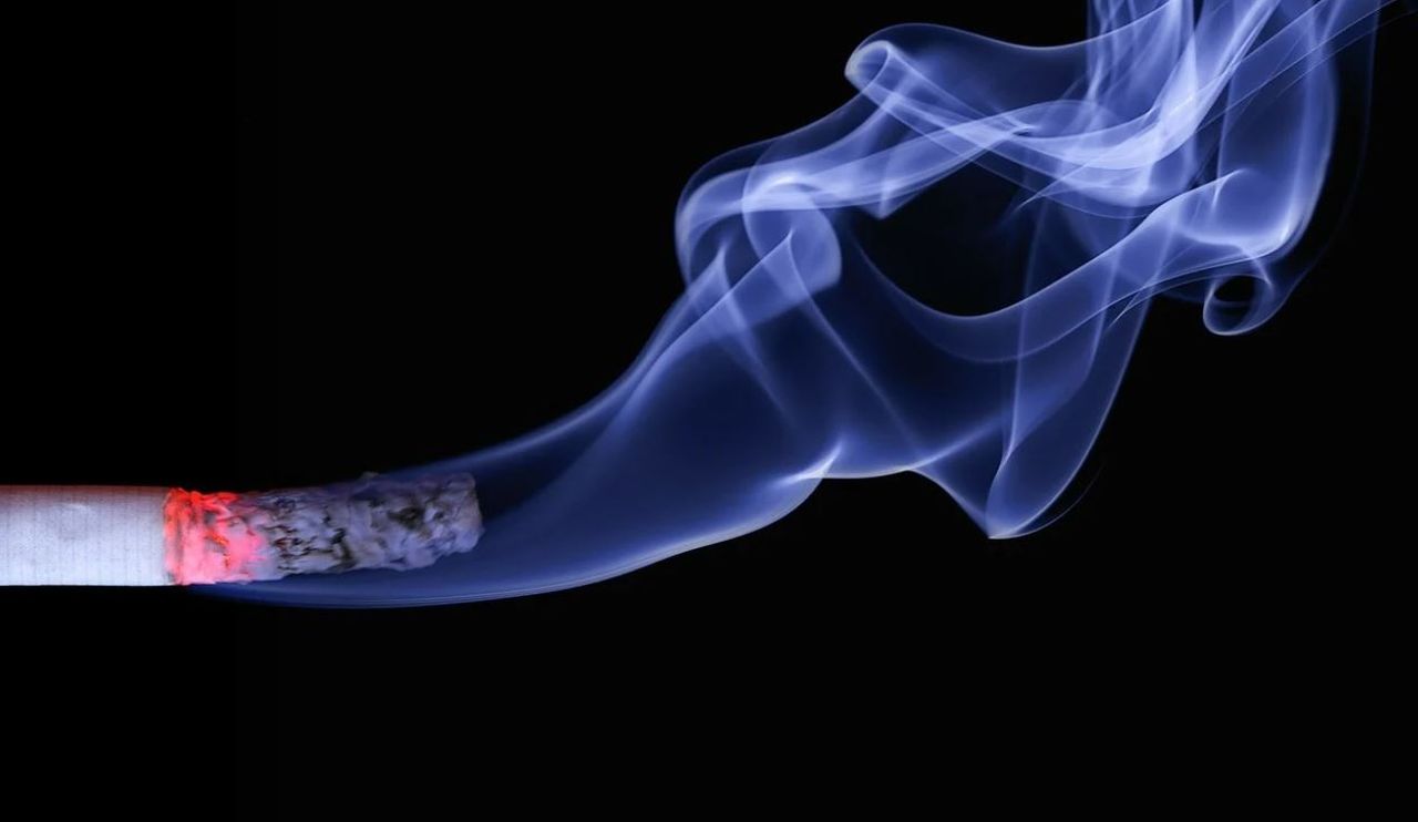 Experții explică: De ce tutunul este cancerigen și totuși poate trata tumori