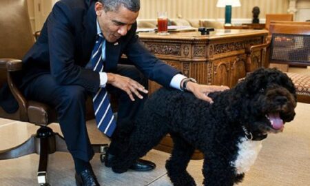 A murit câinele familiei Obama. Anunțul sfâșietor al fostului președinte american!