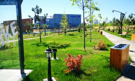 Târgoviște are un nou parc spectaculos! Primarul municipiului a făcut marele anunț