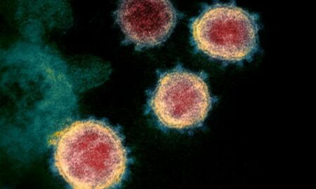 Coronavirus în România, 03 Septembrie! Ce se întâmplă cu numărul persoanelor infectate