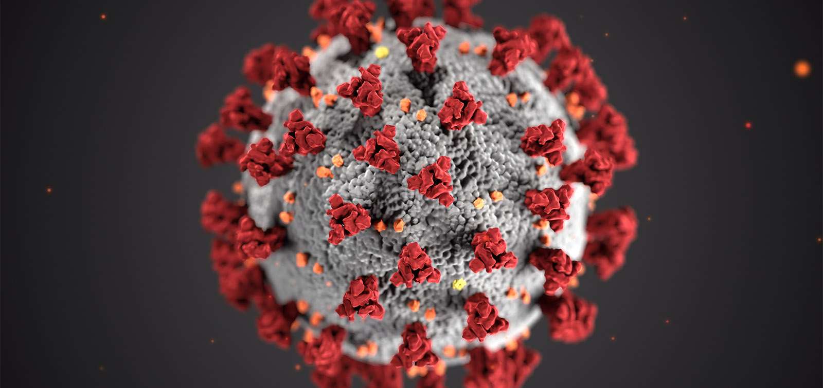 Coronavirus în România, 19 august! A crescut numărul persoanelor infectate. Câte cazuri au fost raportate