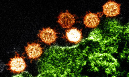 Bilanț COVID-19 din 13 iulie 2021. Evoluția infectărilor cu coronavirus