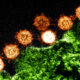 Coronavirus în România, 12 septembrie. Situația infectărilor în România
