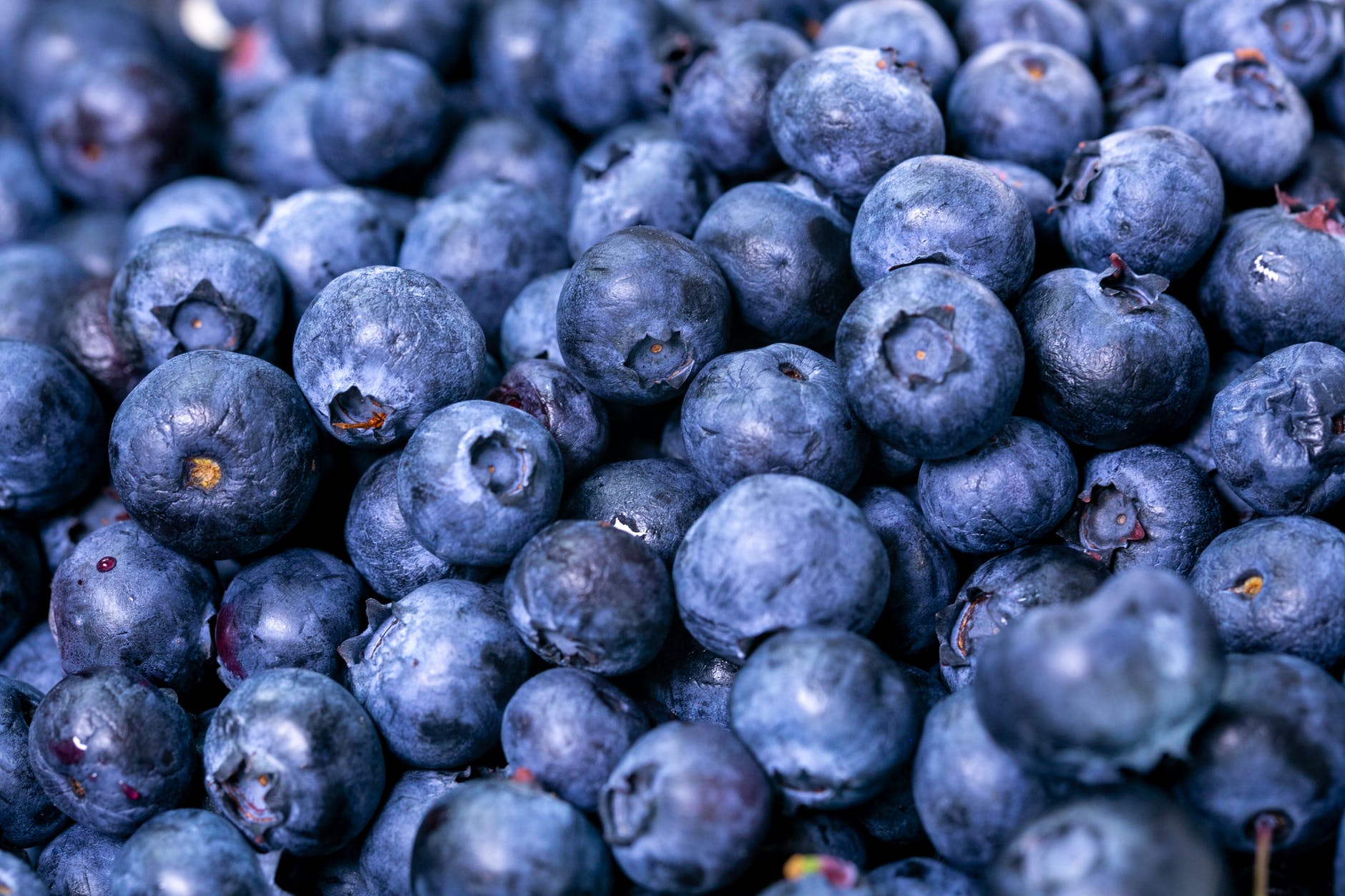 Ce se întâmplă în corpul tău dacă mănânci AFINE în fiecare zi! Puterea antioxidantă este remarcabilă