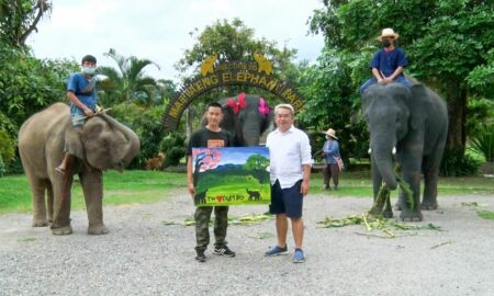 Video. Un pui de elefant pictează tablouri vândute cu sute de lire sterline