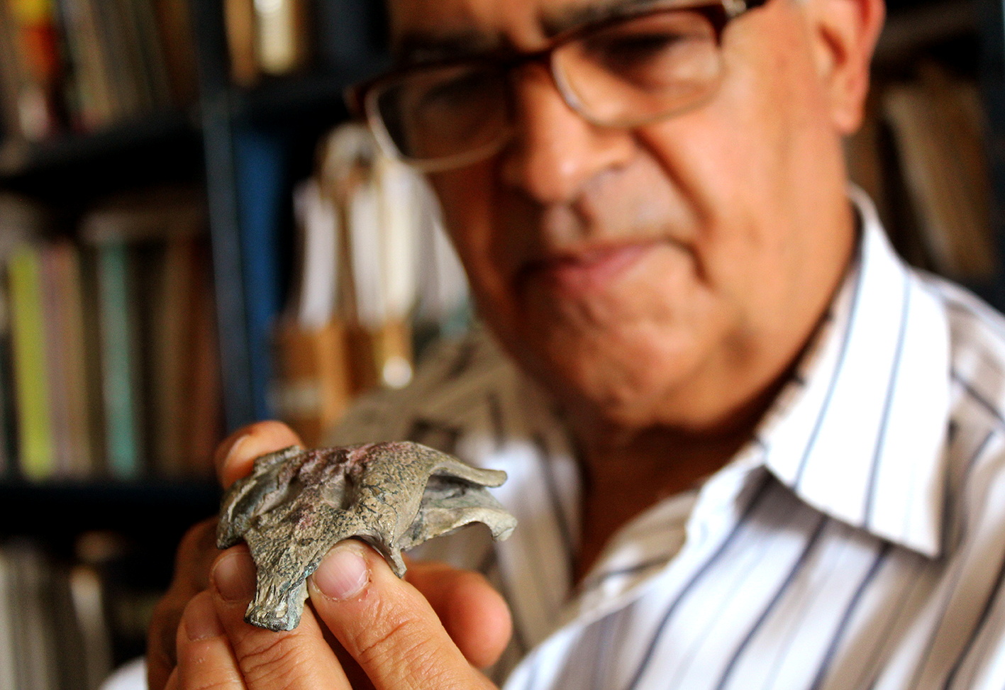 Chile.Fosile cu o vechime de 150 de milioane de ani ale strămoșului  crocodilului modern