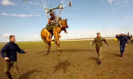 Exercițiu militar rusesc. Armata Rusiei antrenează câini să sară cu parașuta