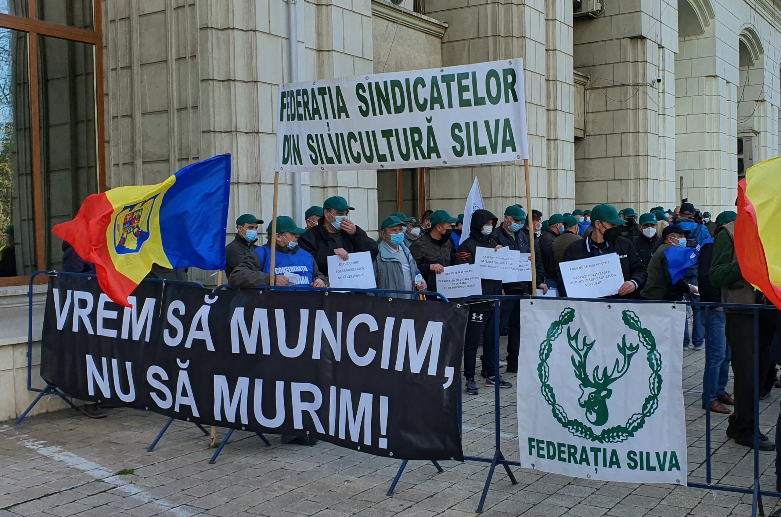 Federația Silva trage un nou semnal de alarmă. Pădurar și familia sa atacați în propria curte de hoții de lemne