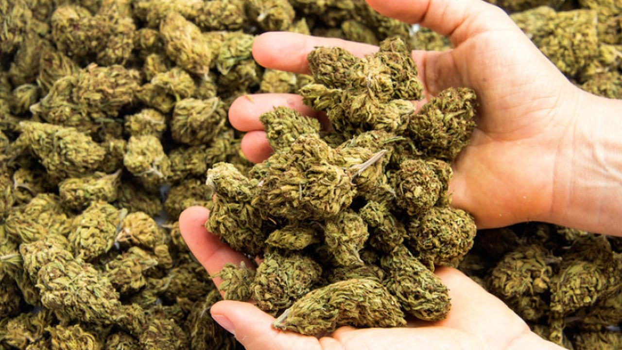 Purtătorul de cuvânt al AUR, prins în Parlament cu cannabis. Cum se justifică fapta?