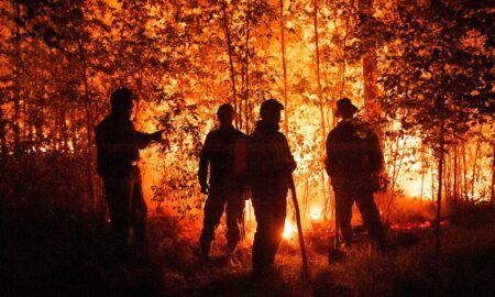 Incendiile de vegetație dau de furcă pompierilor români. Focul scapă de sub control