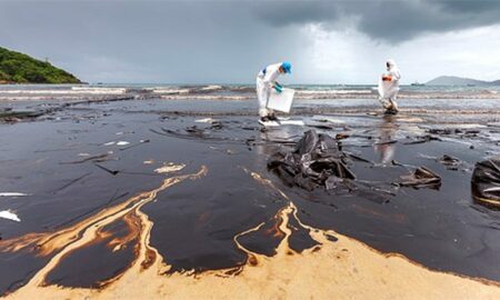 Fauna marină a Mării Negre este  în pericol? Petrolul scurs la Iujno-Ozereievka  s-a întins cu mult