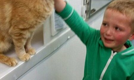 Un băiat a mers într-un adăpost să adopte un nou animal de companie, însă avea să aibă parte de o adevărată surpriză!