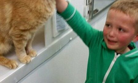 Un băiat a mers într-un adăpost să adopte un nou animal de companie, însă avea să aibă parte de o adevărată surpriză!