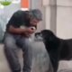 Un bărbat fără adăpost a fost surprins în momentul în care împărțea o pâine cu cei doi câini!