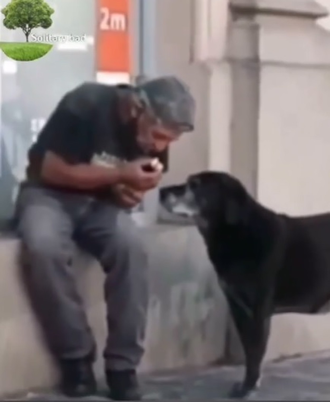 Un bărbat fără adăpost a fost surprins în momentul în care împărțea o pâine cu cei doi câini!